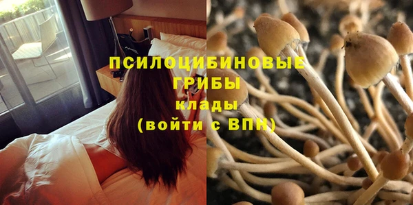 COCAINE Белокуриха