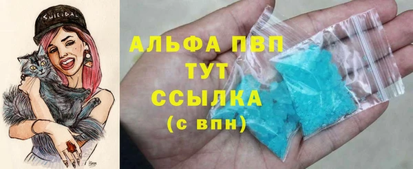 гидра Весьегонск
